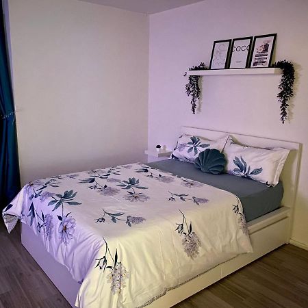 2 Zimmer Wohnung Im Herzen Von 브라운슈바이크 외부 사진